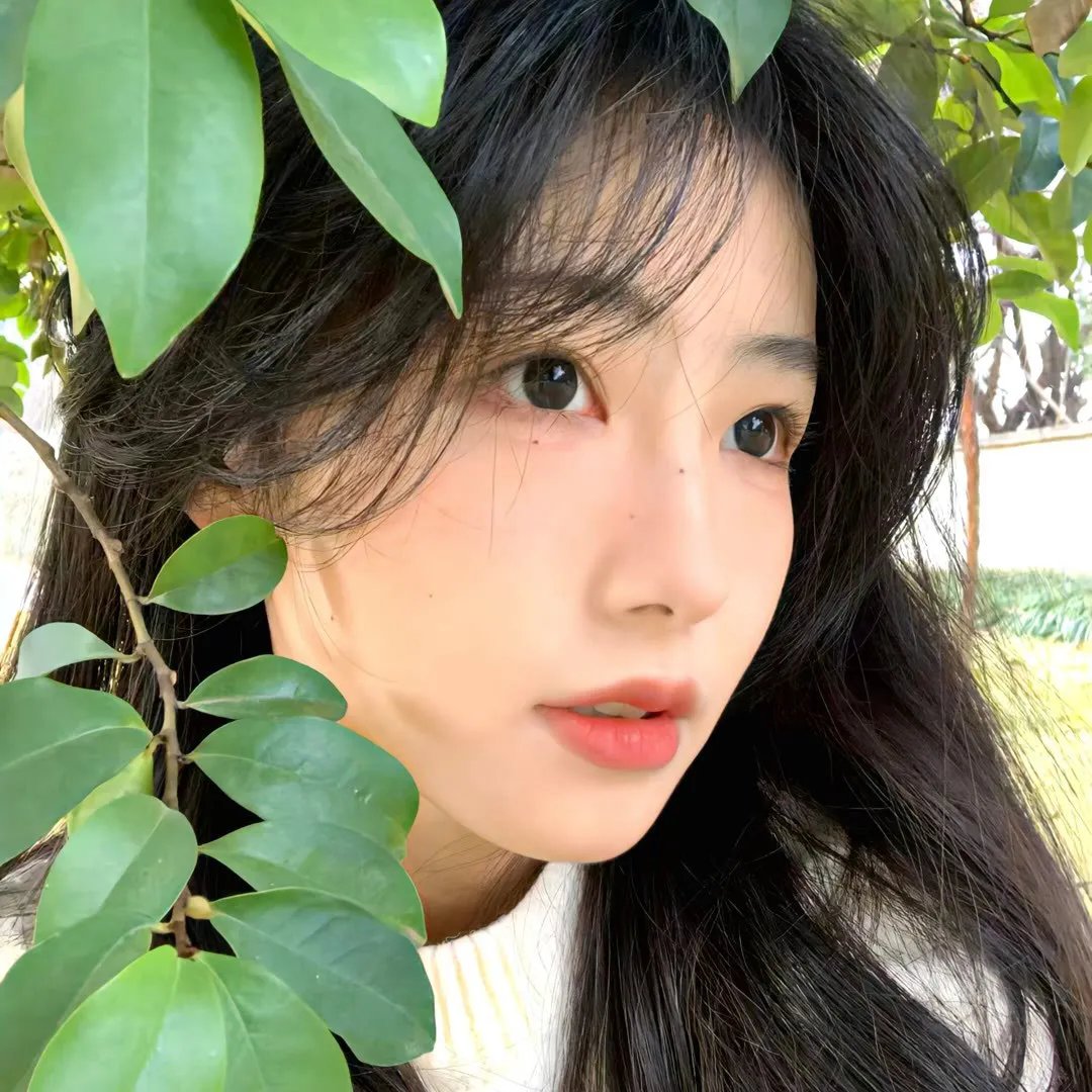 沉默的乌鸦